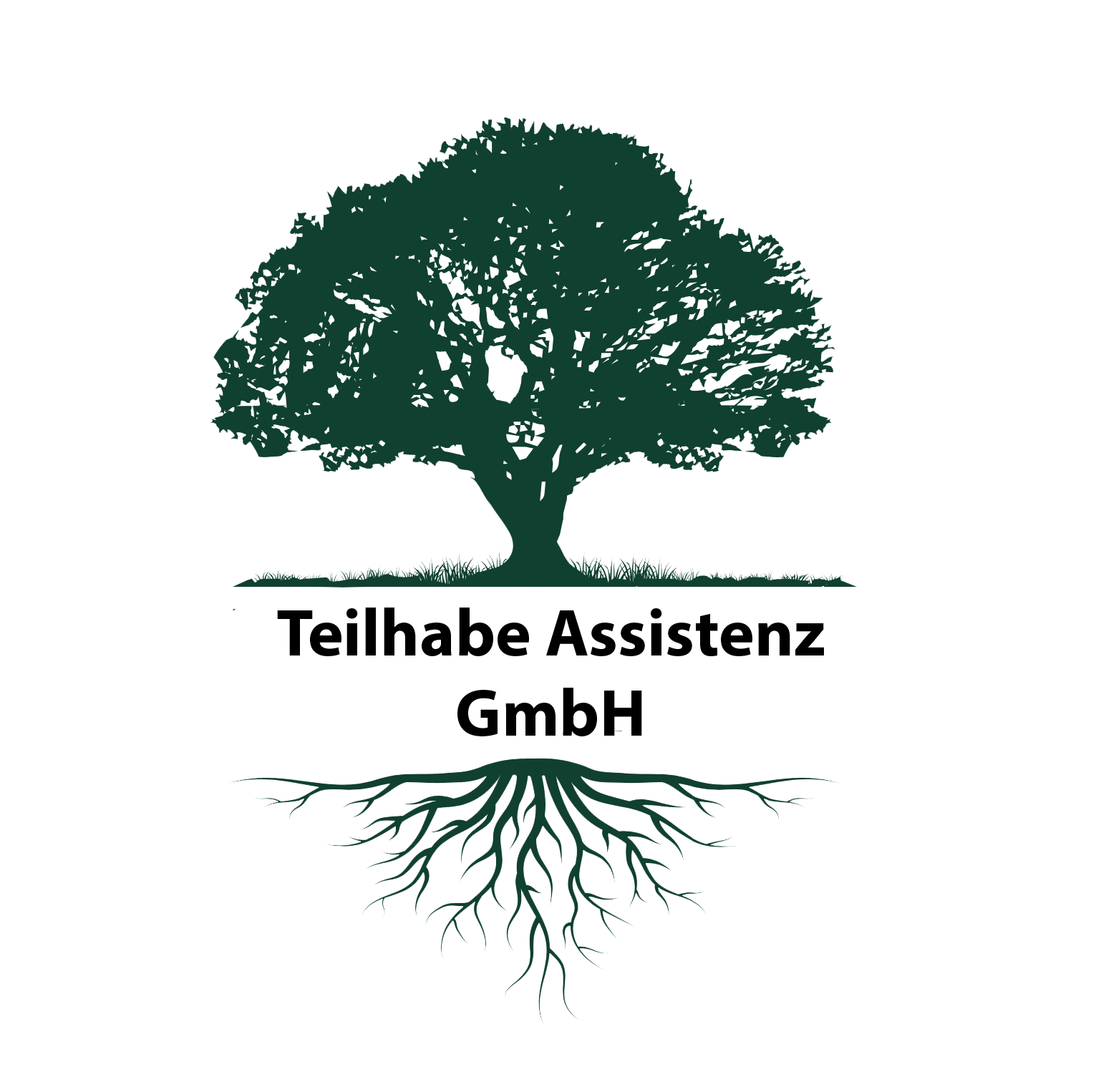 Teilhabe Assistenz Logo